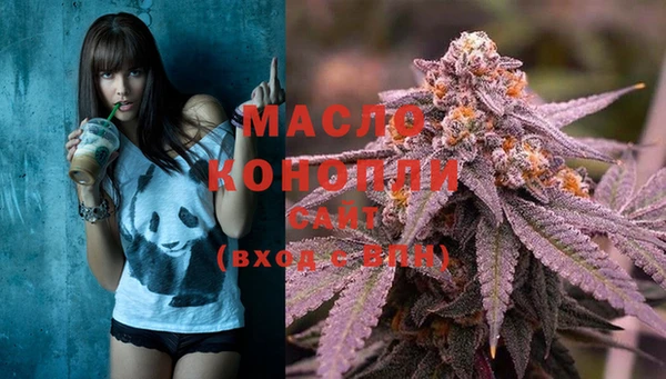 крисы Новозыбков