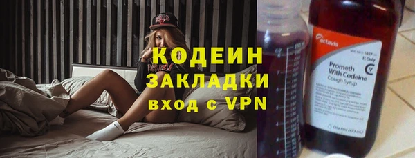 крисы Новозыбков