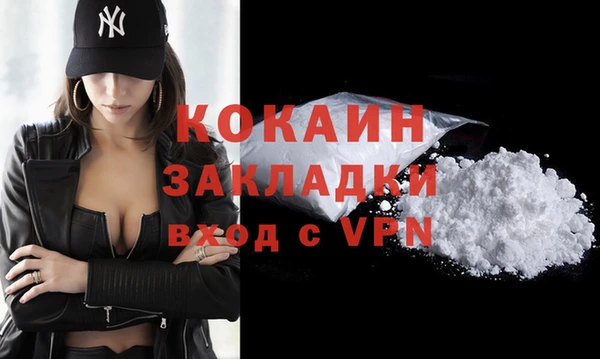 ALPHA PVP Няндома