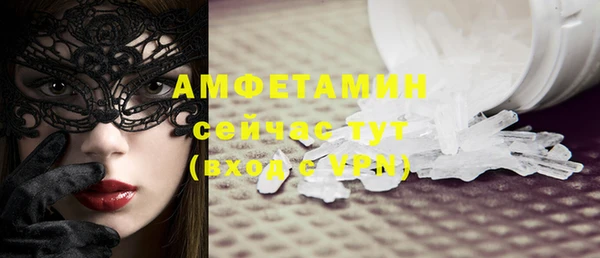 крисы Новозыбков