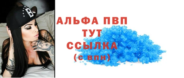 крисы Новозыбков