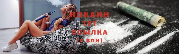 крисы Новозыбков