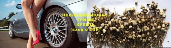 ГАЛЛЮЦИНОГЕННЫЕ ГРИБЫ Новокубанск