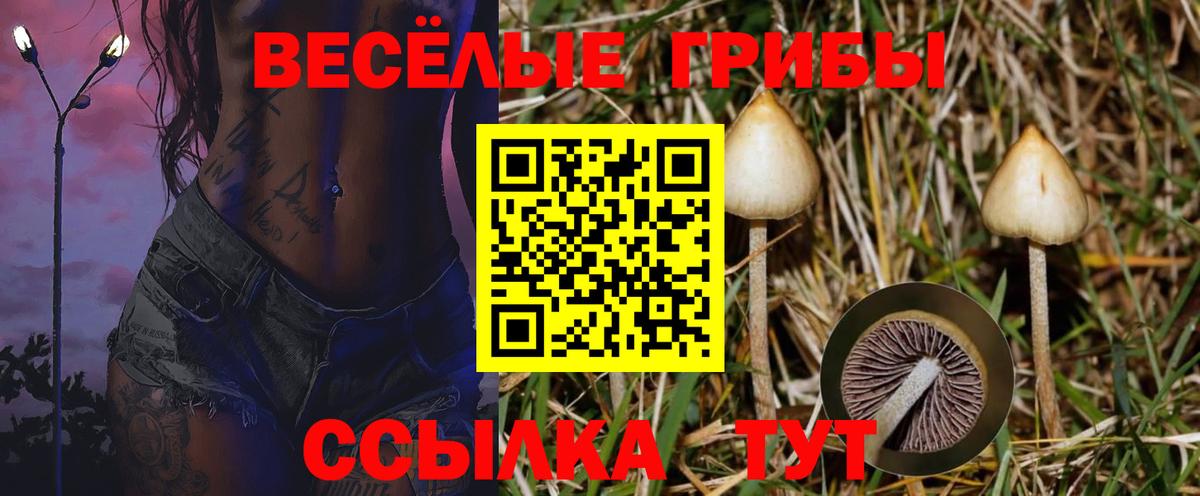 ГАШИШ  МЕТАМФЕТАМИН  Конопля  Экстази  Вход с VPN  Киржач  Меф МЯУ МЯУ кристаллы 