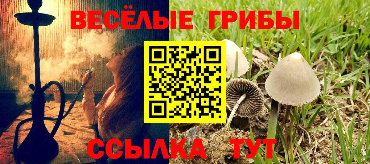 как найти наркотики  Вход с VPN  Киржач  Галлюциногенные грибы мухоморы  Псилоцибиновые грибы Psilocybine cubensis 
